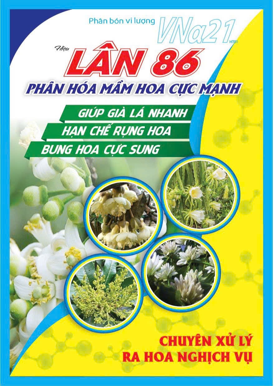 z5740099159931_40a25c55ec1c513a6cbf48816090edf7 (1)