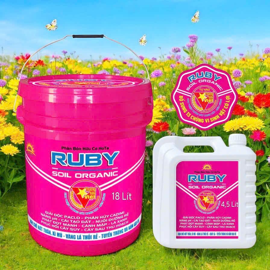 z6720190215298_a72eb2b72ad220d29752e3eb1a2520ba