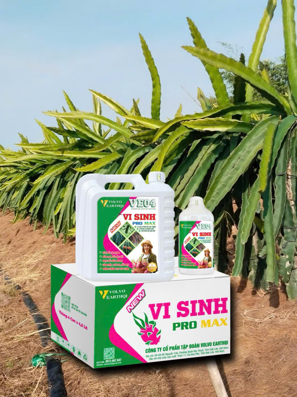 z6946620111694_eee445a418bffc9cd1e4c6092e738496