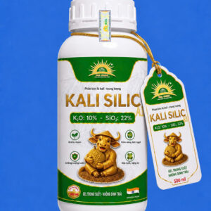 KALI SILIC