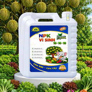 NPK VI SINH 10-10-10