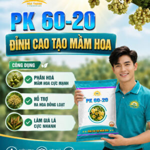 PK 60-20