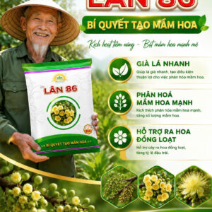 LÂN 86